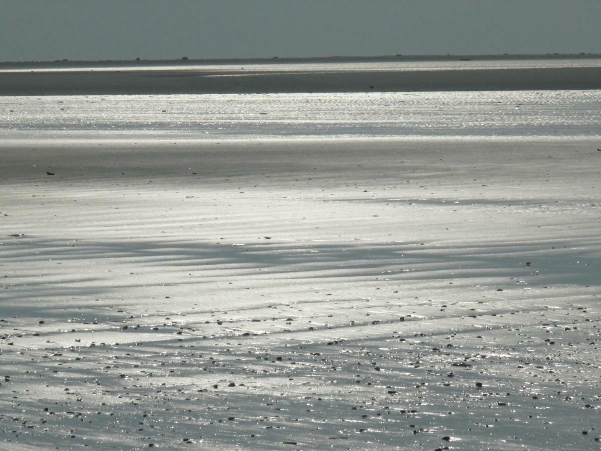 Wad Else Villa Lauwersoog Bagian luar foto