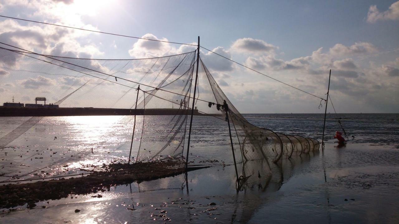 Wad Else Villa Lauwersoog Bagian luar foto